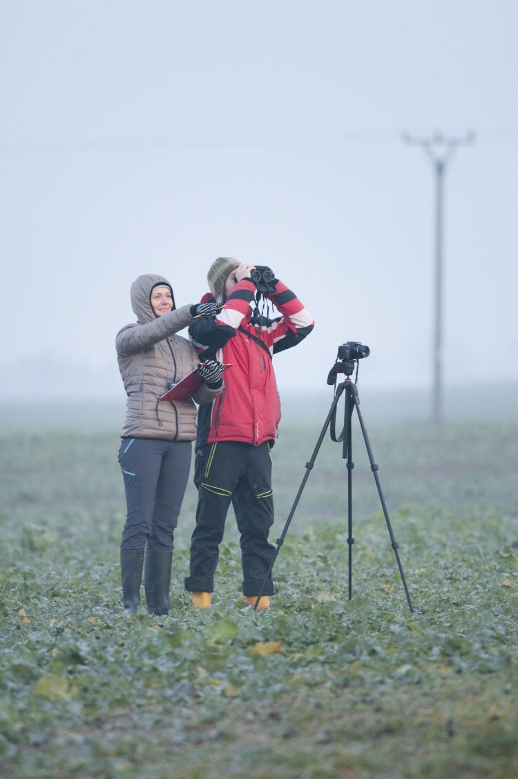 Image of 2 people on the field with binoculars monitoring birds flying over the power lines