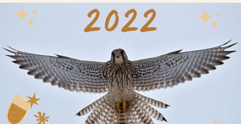 THE LIFE DANUBE FREE SKY TEAM WISHES YOU HAPPY NEW YEAR 2022!