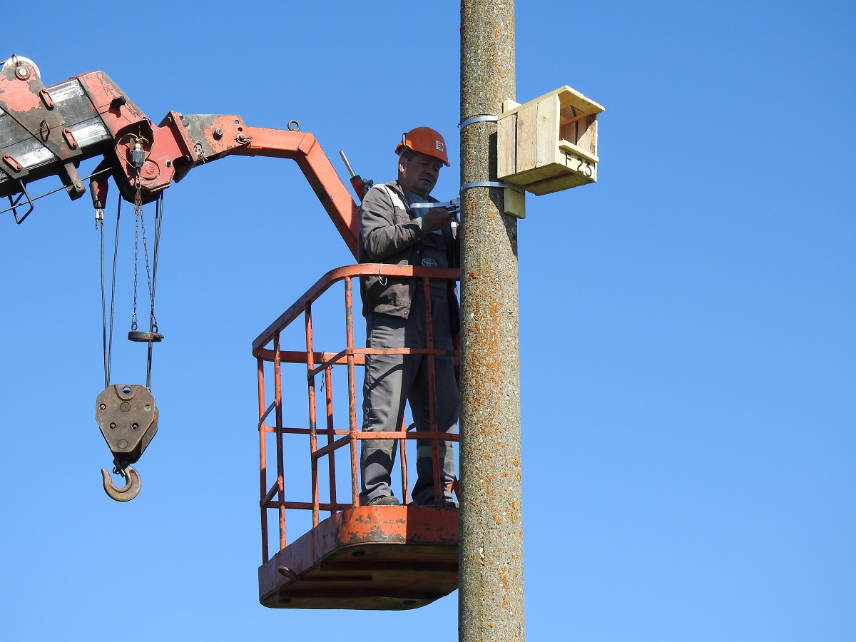 NEW NEST BOXES FOR THE RED-FOOTED FALCON WERE INSTALLED IN BULGARIA