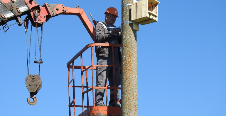 NEW NEST BOXES FOR THE RED-FOOTED FALCON WERE INSTALLED IN BULGARIA