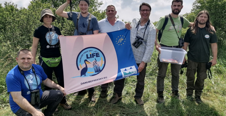 SAKER FALCONS TAGGED WITH THE SATELLITE TRANSMITTERS IN SERBIA