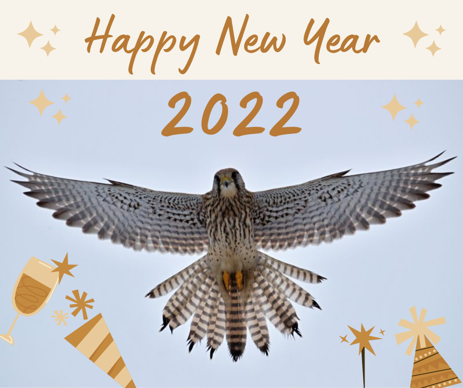 TÍM LIFE DANUBE FREE SKY VÁM ŽELÁ ŠŤASTNÝ NOVÝ ROK 2022!