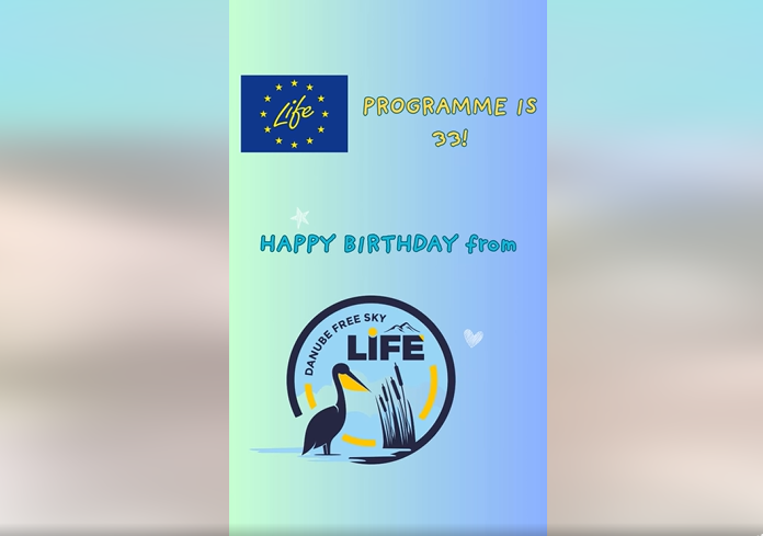 HAPPY 33rd BIRTHDAY TO LIFE PROGRAMME!