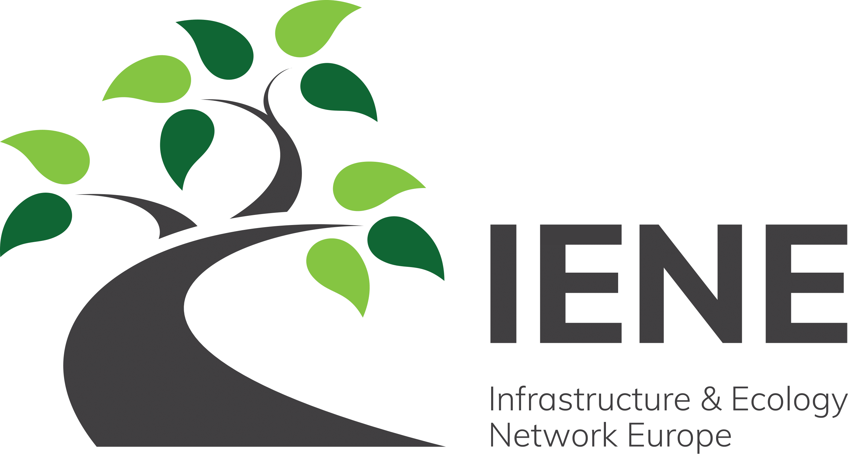 IENE LOGO 2021 CMJN 1