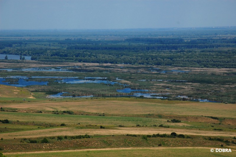 Illustration picture of the Project Area website section - the landscape of the Danube delta
