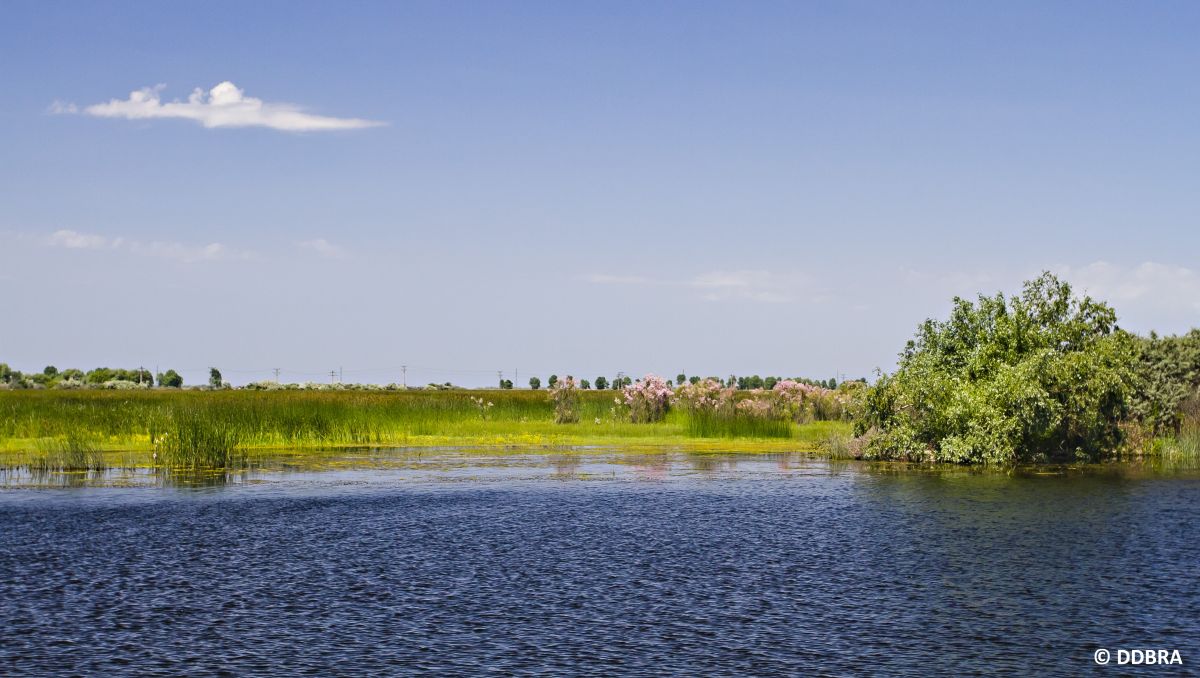 Picture of Caraorman channel, nice nature landscape