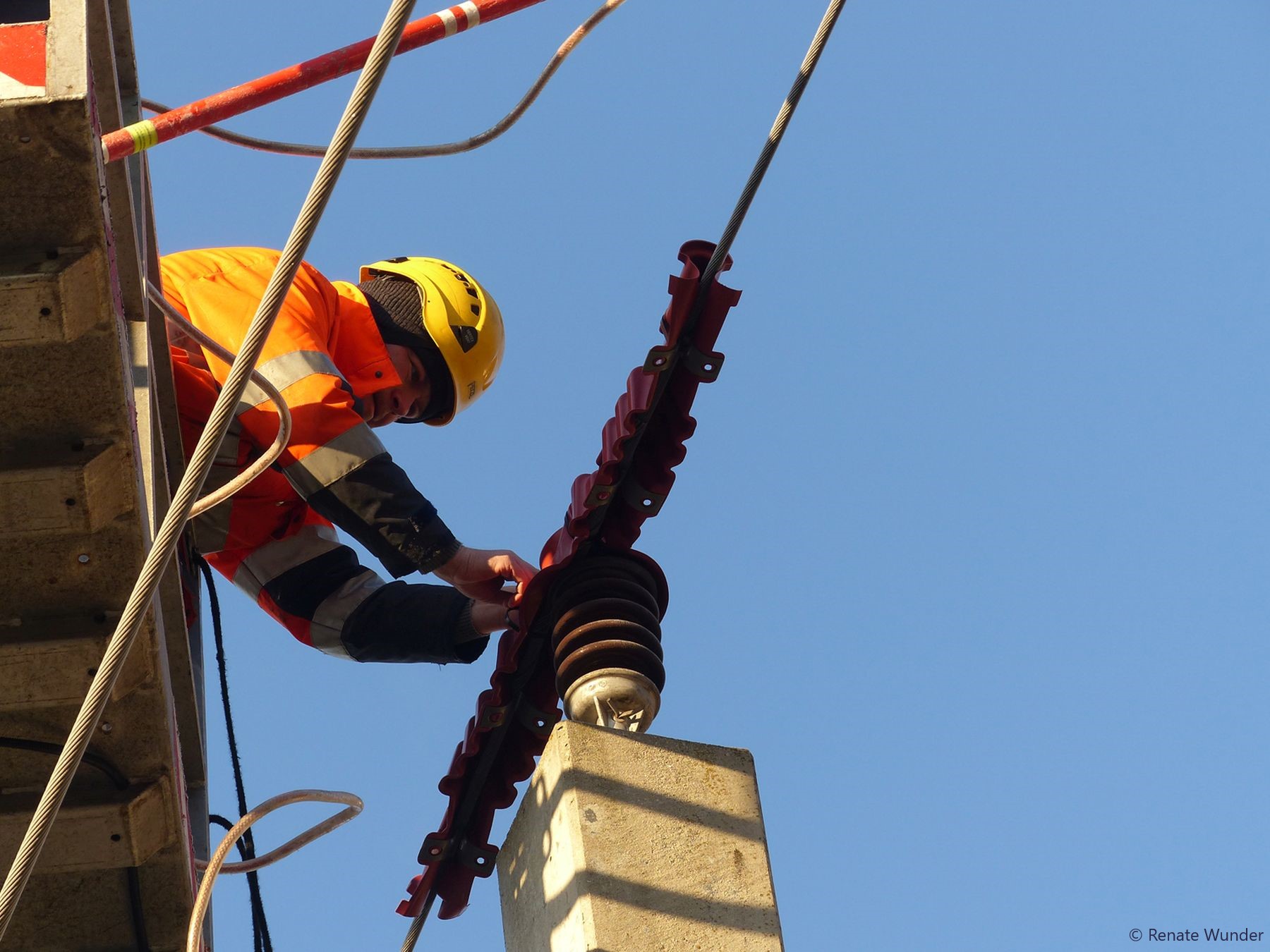 Installation of the bird protection cap on the railway pole