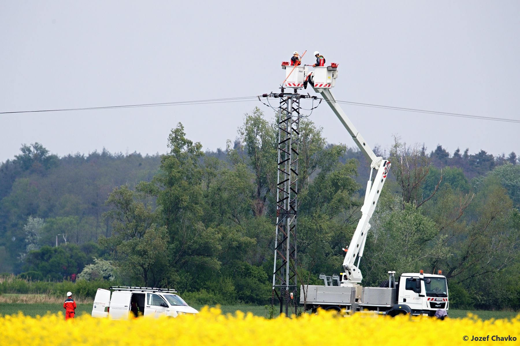 Installation of the mitigation measures on the utility pole