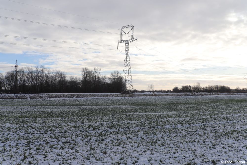 Power lines on the field